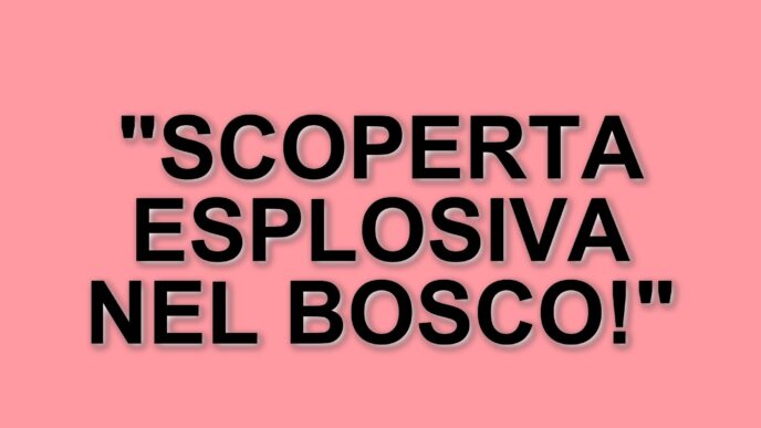 Scoperto ordigno inesploso della Seconda Guerra Mondiale durante una passeggiata nel bosco di Albate