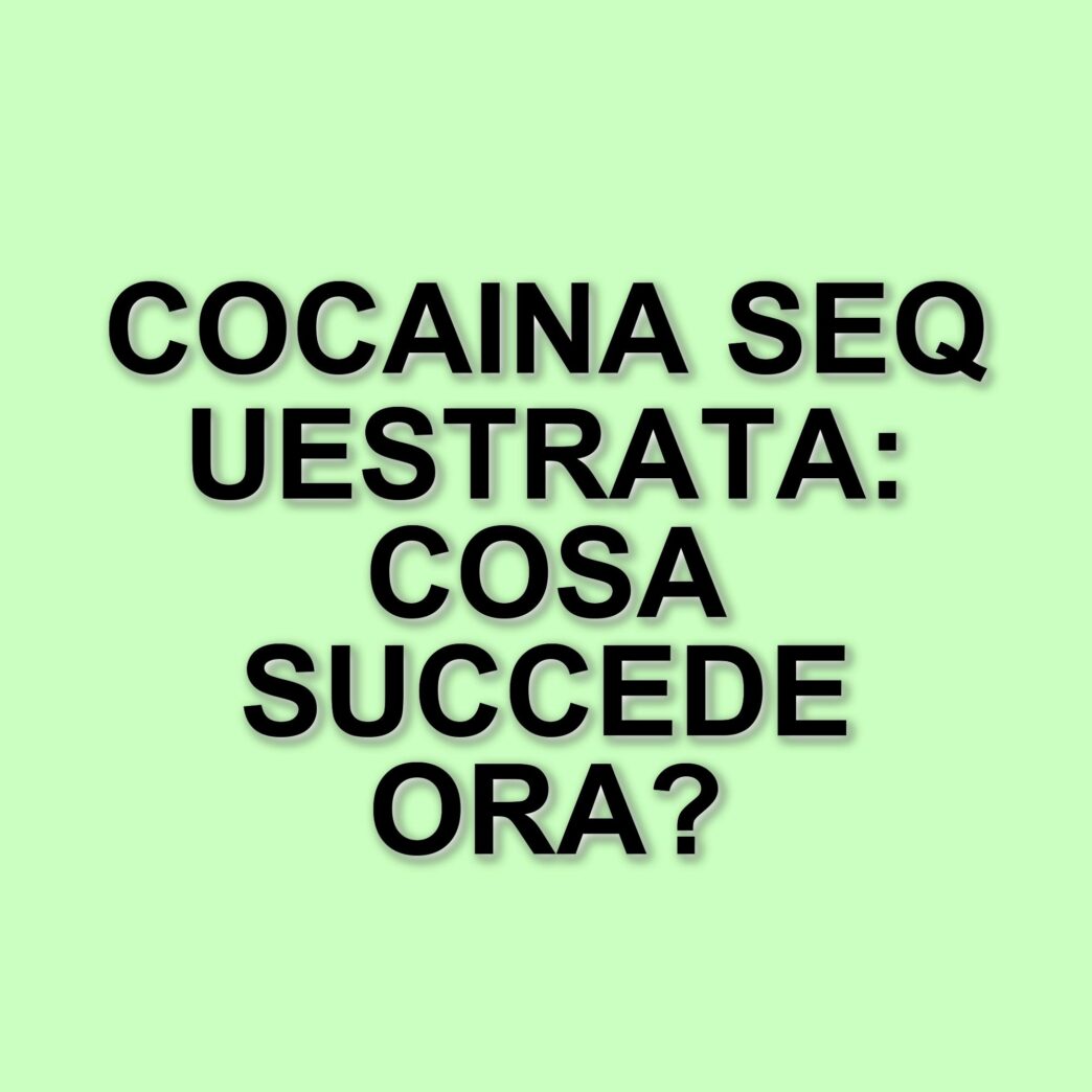 Sequestro di cocaina a Crotone: operazioni dei Carabinieri e della Polizia contro il traffico di droga