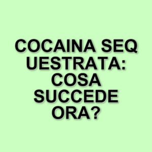 Sequestro di cocaina a Crotone: operazioni dei Carabinieri e della Polizia contro il traffico di droga