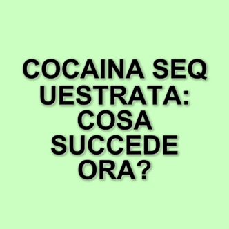 Sequestro di cocaina a Crotone: operazioni dei Carabinieri e della Polizia contro il traffico di droga
