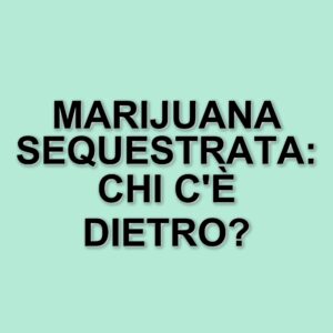 Sequestro di marijuana nel Bergamasco: oltre 90 kg trovati in un tir, due arresti