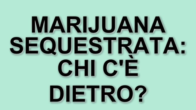 Sequestro di marijuana nel Bergamasco: oltre 90 kg trovati in un tir, due arresti