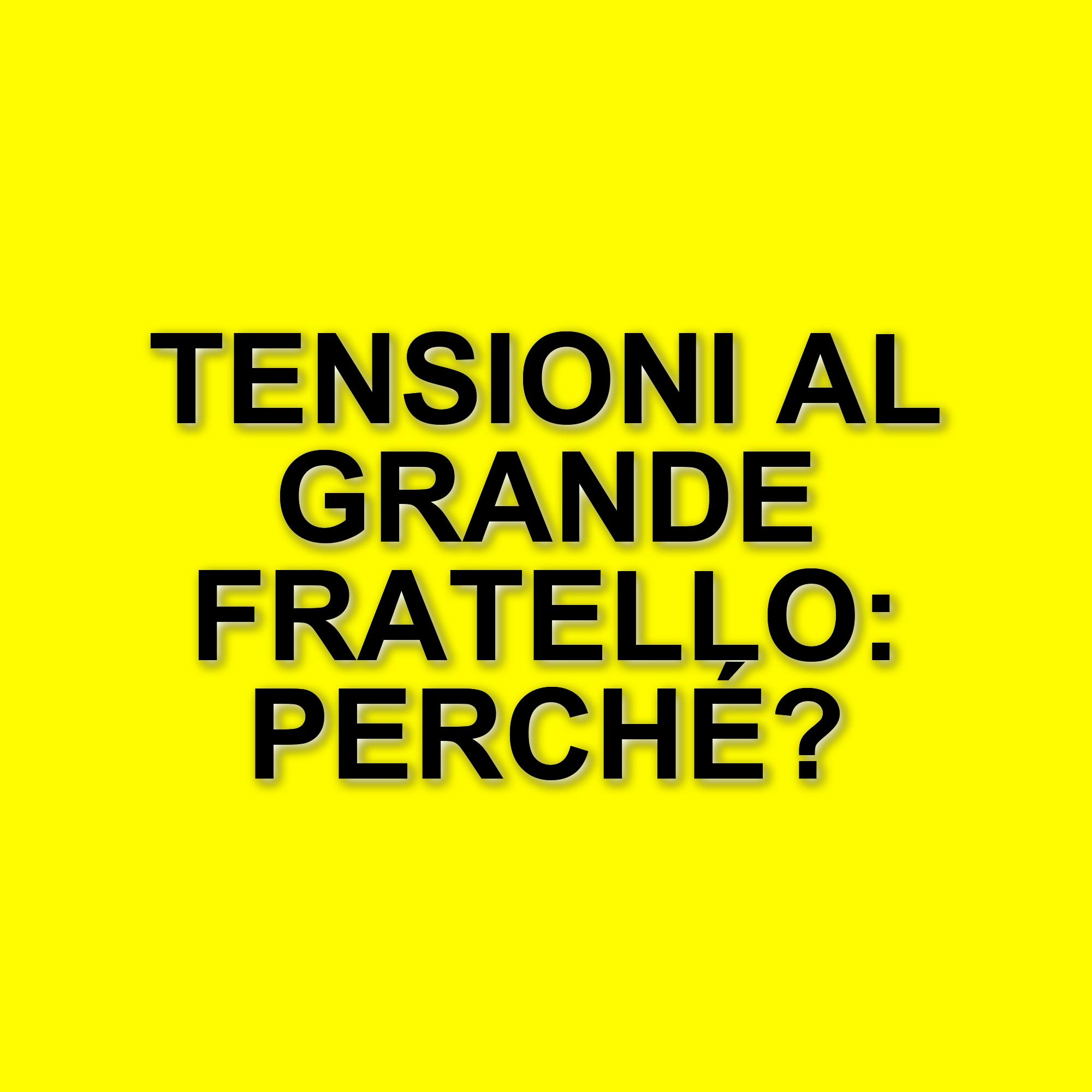 Grande Fratello: tensioni tra Helena Prestes e Lorenzo Spolverato prima della finale