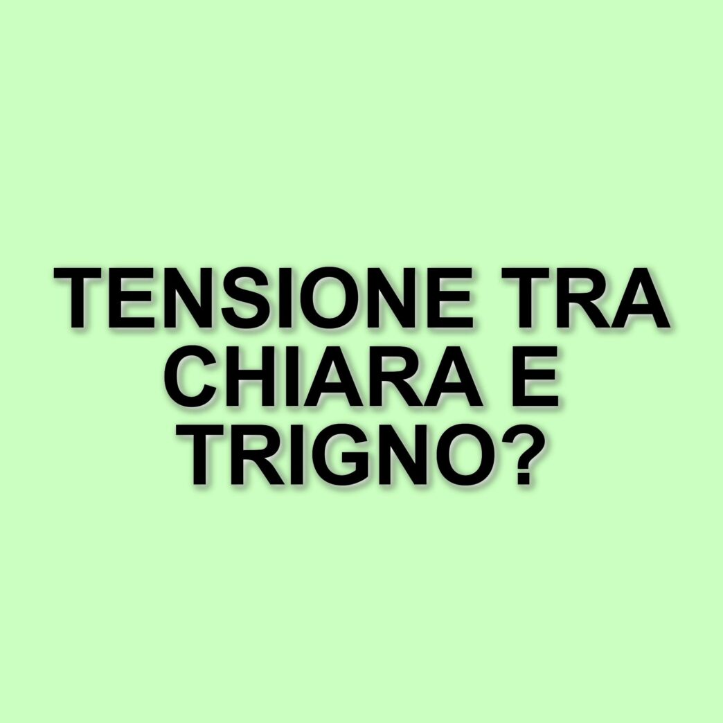 Tensione tra Chiara e Trigno ad Amici 25: il diverbio con Francesca accende gli animi