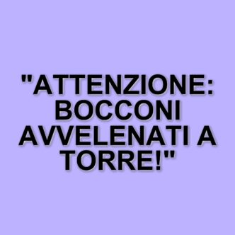 Torre del Greco: allerta per bocconi avvelenati, il sindaco emette un'ordinanza di sicurezza