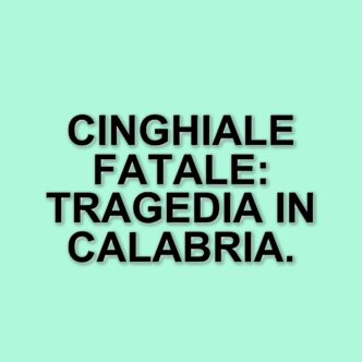 Tragica aggressione da cinghiale in Calabria: muore un uomo di 64 anni a Cetraro