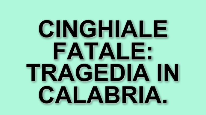 Tragica aggressione da cinghiale in Calabria: muore un uomo di 64 anni a Cetraro