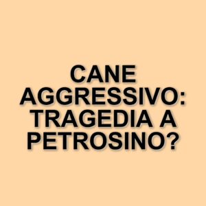 Tragico attacco di un cane a Petrosino: muore Erina Licari, 62 anni