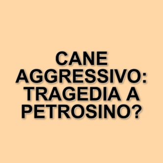 Tragico attacco di un cane a Petrosino: muore Erina Licari, 62 anni