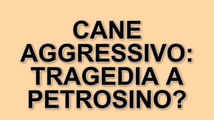 Tragico attacco di un cane a Petrosino: muore Erina Licari, 62 anni