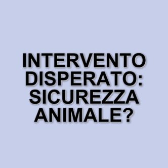 Tragico intervento di una donna per salvare il suo cane: la sicurezza in caso di risse tra animali