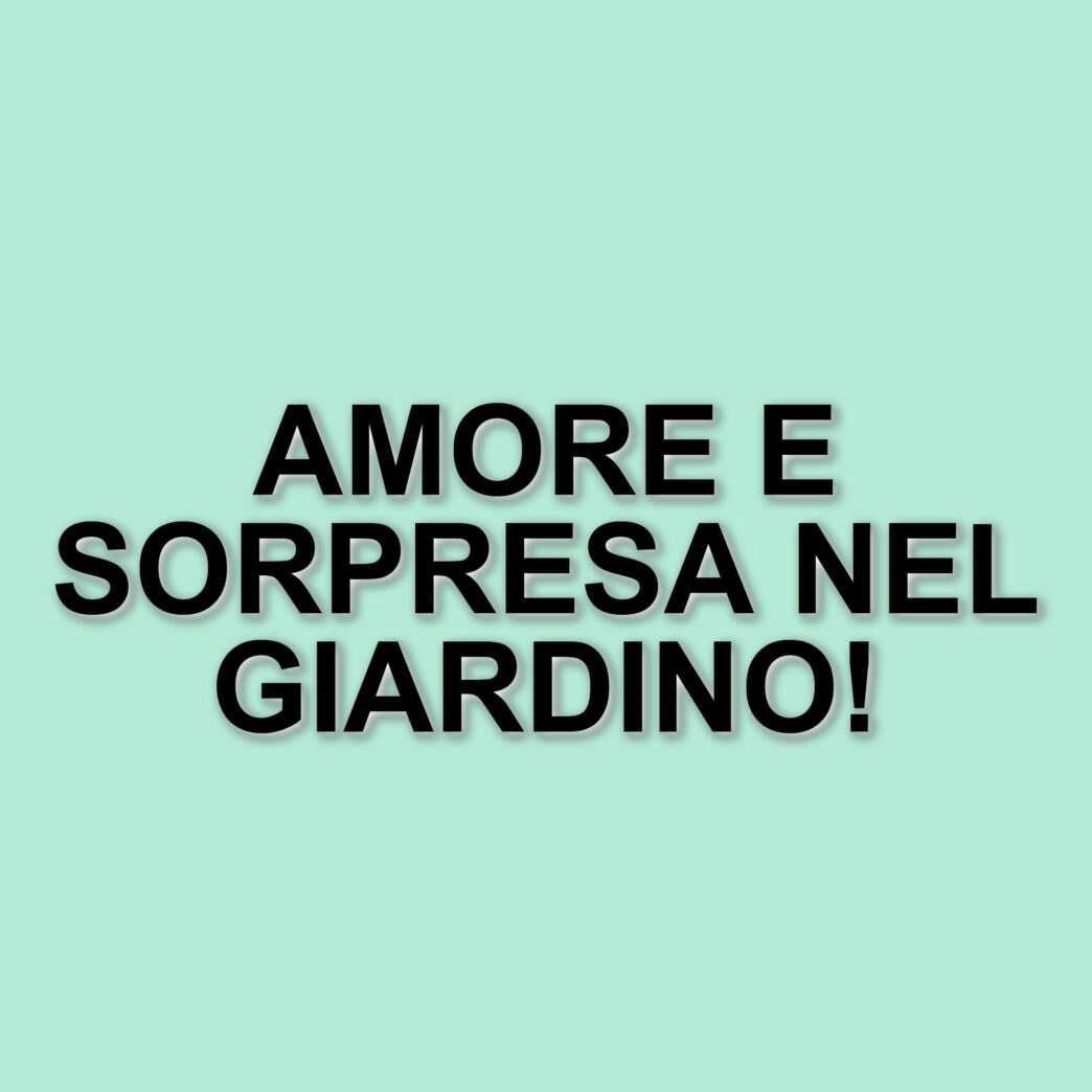 Messaggio d'amore per Zeudi: il Grande Fratello interviene dopo un gesto romantico