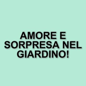 Messaggio d'amore per Zeudi: il Grande Fratello interviene dopo un gesto romantico