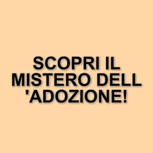 Un dramma avvincente: la storia di una famiglia e il mistero dell'adozione