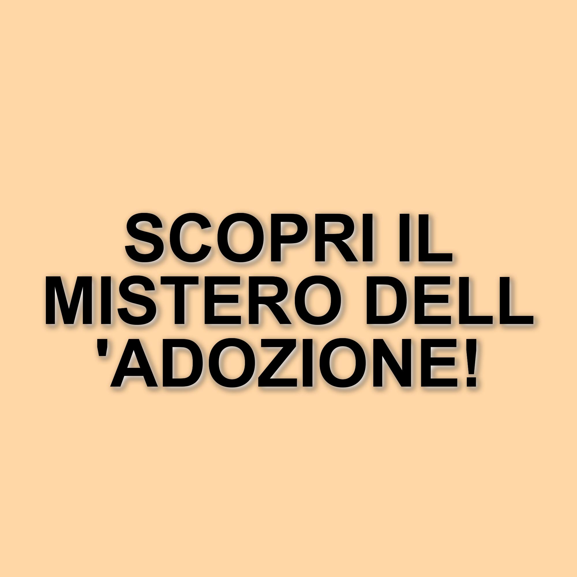 Un dramma avvincente: la storia di una famiglia e il mistero dell'adozione