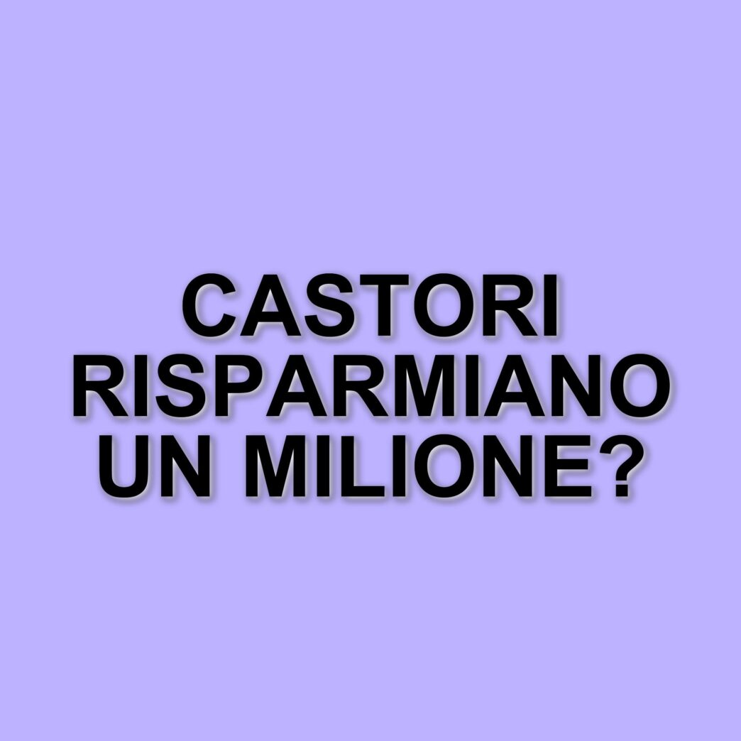 I castori e la loro sorprendente capacità di costruire dighe: un risparmio per la Repubblica Ceca