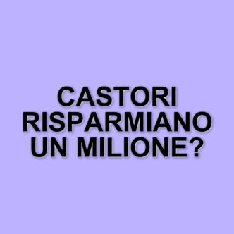 I castori e la loro sorprendente capacità di costruire dighe: un risparmio per la Repubblica Ceca