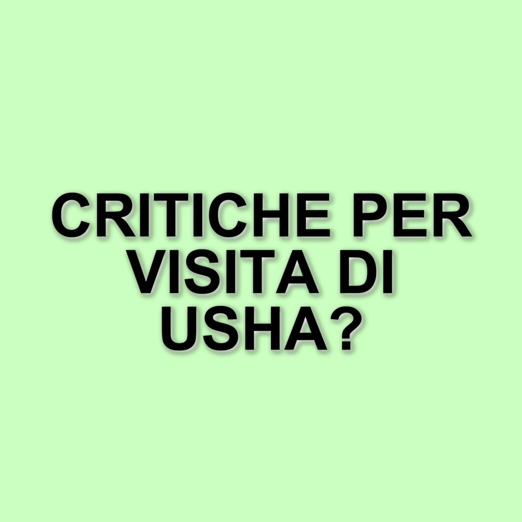 Modifiche all'itinerario della Second Lady Usha Vance: esclusi eventi culturali in Groenlandia