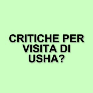 Modifiche all'itinerario della Second Lady Usha Vance: esclusi eventi culturali in Groenlandia