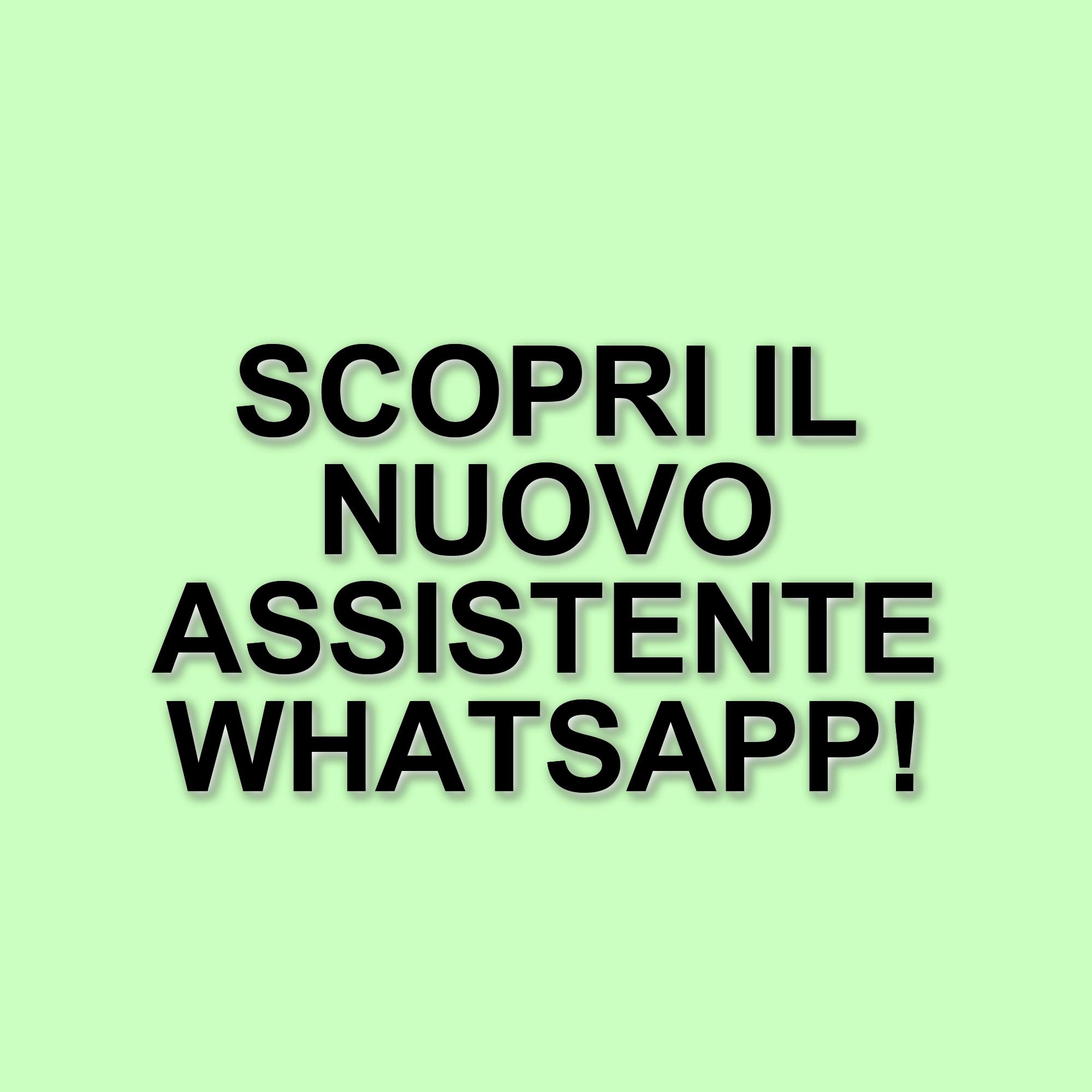 WhatsApp introduce un assistente virtuale: ecco come funziona il nuovo chatbot di Meta