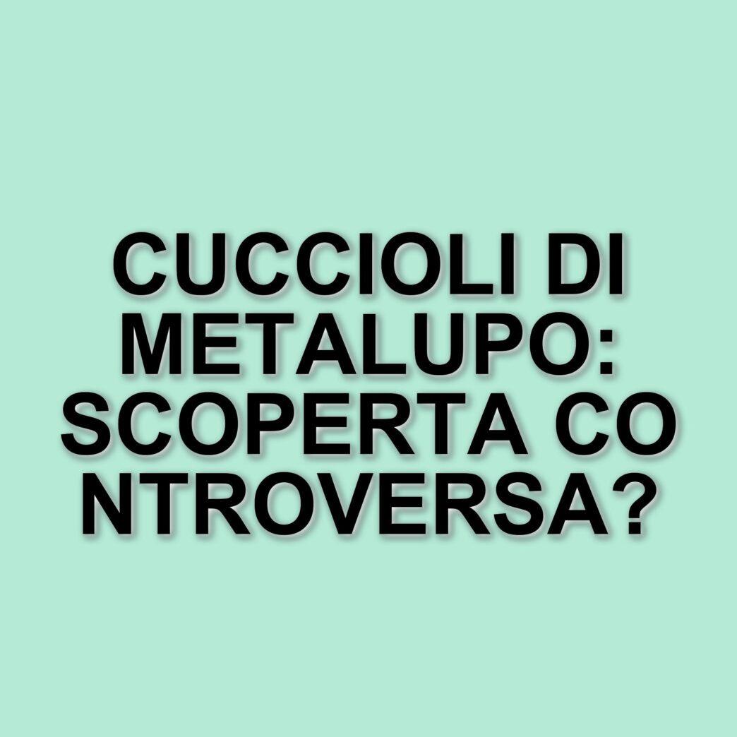La resurrezione dei metalupi: scienziati texani riportano in vita una specie estinta
