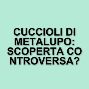 La resurrezione dei metalupi: scienziati texani riportano in vita una specie estinta