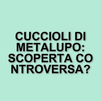 La resurrezione dei metalupi: scienziati texani riportano in vita una specie estinta