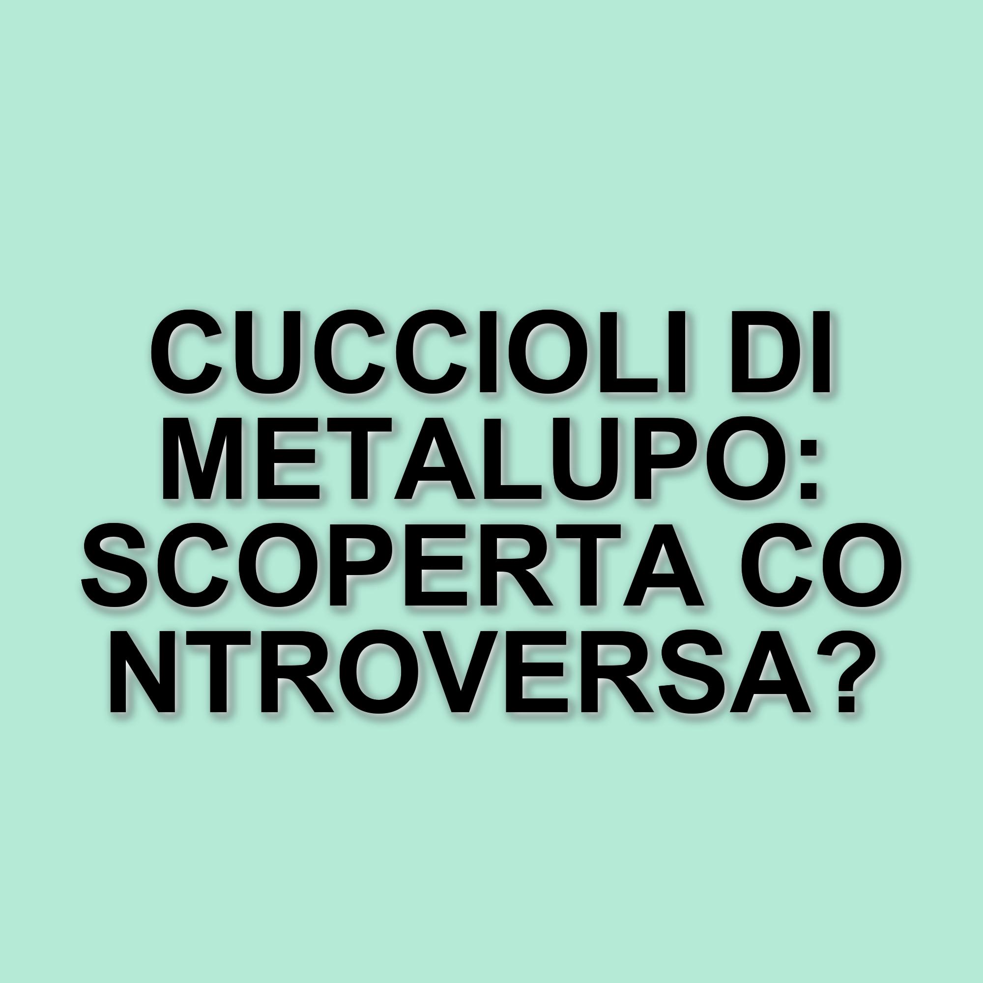 La resurrezione dei metalupi: scienziati texani riportano in vita una specie estinta