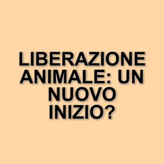 "L'ultimo spettacolo": il documentario che racconta la liberazione degli animali dal Circo Martin