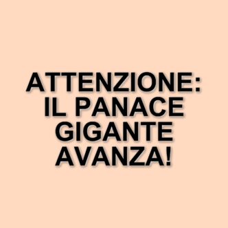 La pianta più pericolosa della primavera: attenzione al panace gigante