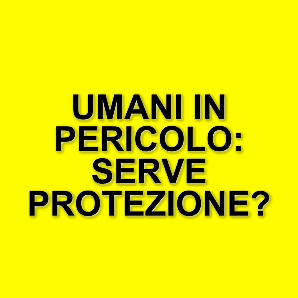 Il presidente della Croce Rossa Italiana denuncia l'attacco a un convoglio umanitario a Gaza