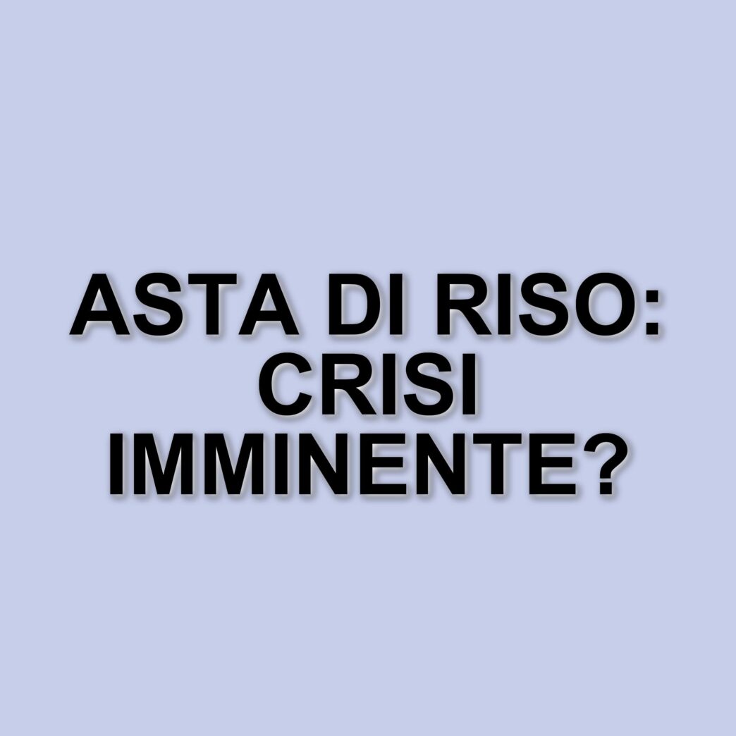 Crisi del riso in Giappone: il governo interviene con le riserve d'emergenza