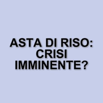 Crisi del riso in Giappone: il governo interviene con le riserve d'emergenza