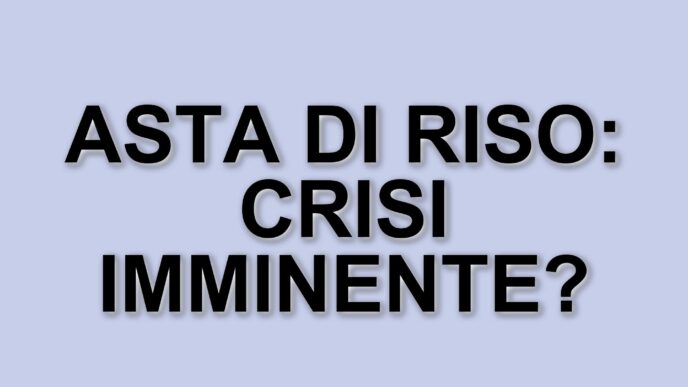 Crisi del riso in Giappone: il governo interviene con le riserve d'emergenza