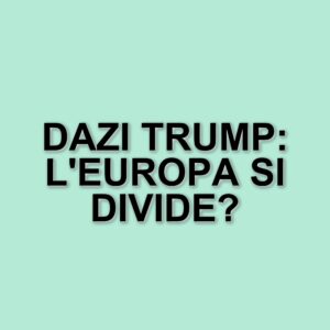 L'Unione Europea si prepara a rispondere ai dazi di Trump: le strategie in discussione