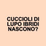 La clonazione del lupo estinto: un passo storico nella biotecnologia