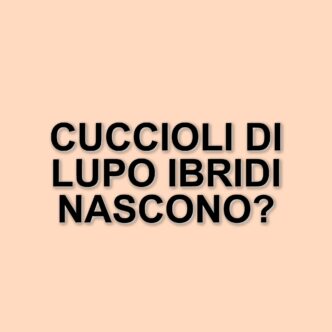 La clonazione del lupo estinto: un passo storico nella biotecnologia