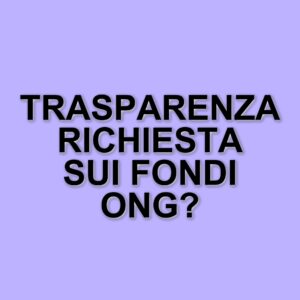 La Corte dei Conti Ue mette in luce l'opacità dei finanziamenti alle Ong: ecco cosa emerge dal rapporto