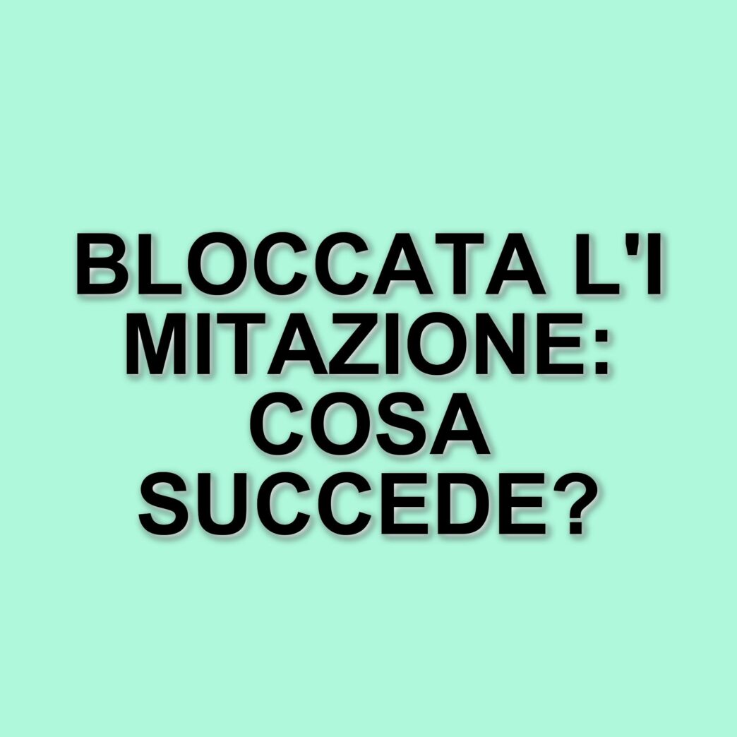 Vincenzo De Lucia e l'imitazione di Monica Setta: il mistero del blocco