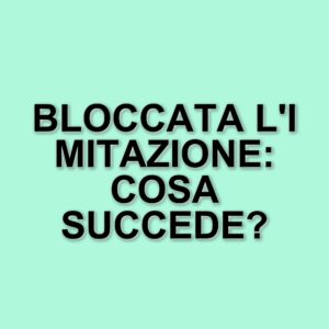 Vincenzo De Lucia e l'imitazione di Monica Setta: il mistero del blocco