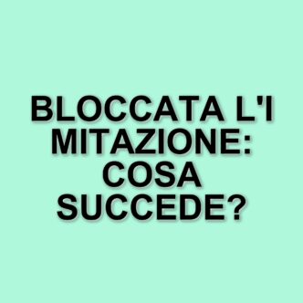 Vincenzo De Lucia e l'imitazione di Monica Setta: il mistero del blocco