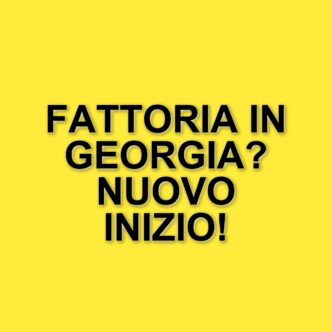 Millie Bobby Brown Si Ritira In Campagna Dopo Il Matrimonio, Lontano Dai Riflettori Di Hollywood