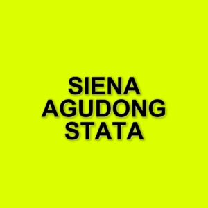 Casting in corso per la serie "Carrie": Siena Agudong nel ruolo di Sue Snell
