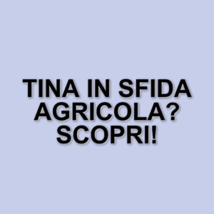 Tina Cipollari e la sfida del corteggiatore: un vestito da contadina per il trono di Uomini e Donne