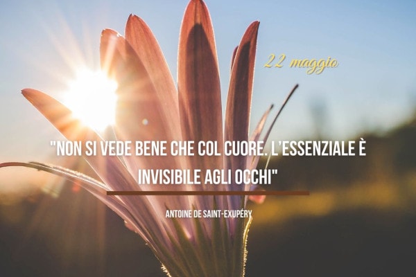 22_maggio_2025%3A_buongiorno%2C_sa
