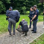 A parma il ritrovamento di un feto sul marciapiede orienta le indagini verso un ipotesi animale in attesa di conferme