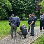 A parma ritrovati resti compatibili con feto in via federico II, intervengono polizia e medico legale