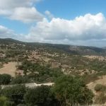 Allevatore di orgosolo muore dopo un calcio del cavallo nelle campagne tra galtellì e lula