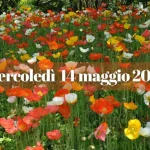 Almanacco del 14 maggio 2025: eventi, compleanni celebri, posizioni dei pianeti e segni più favoriti