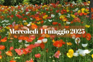 Almanacco_del_14_maggio_2025%3A_